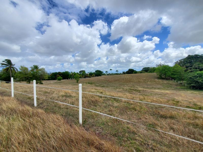 Land For Sale in Frere Pilgrim Barbados